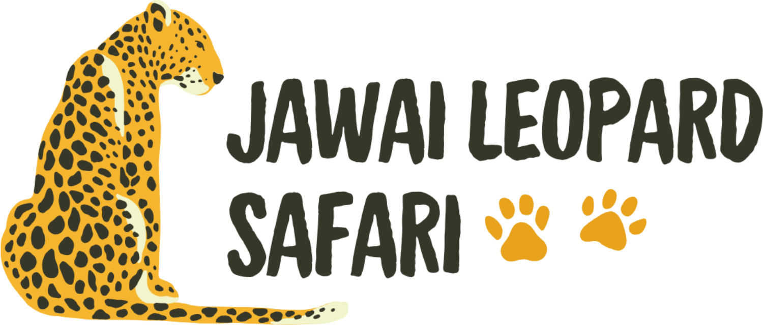 jawai leopard logo